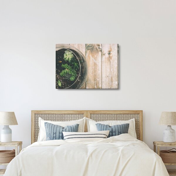 Slika sukulenata u staklu (70x50 cm)