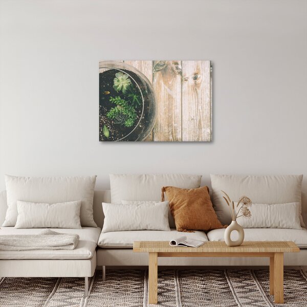 Slika sukulenata u staklu (70x50 cm)