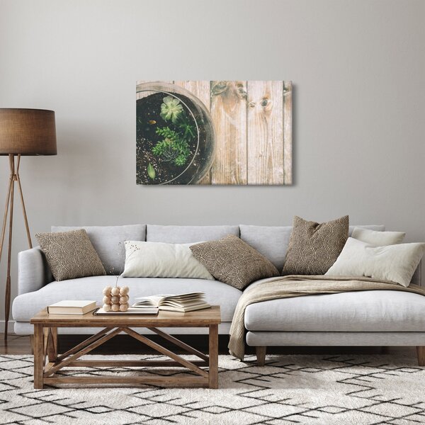 Slika sukulenata u staklu (90x60 cm)