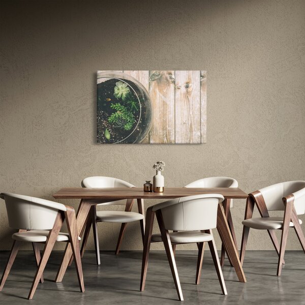 Slika sukulenata u staklu (90x60 cm)