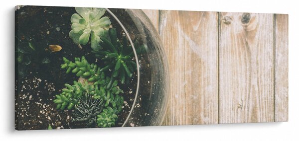 Slika sukulenata u staklu (120x50 cm)