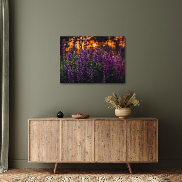 Slika cvjetova lupine (70x50 cm)