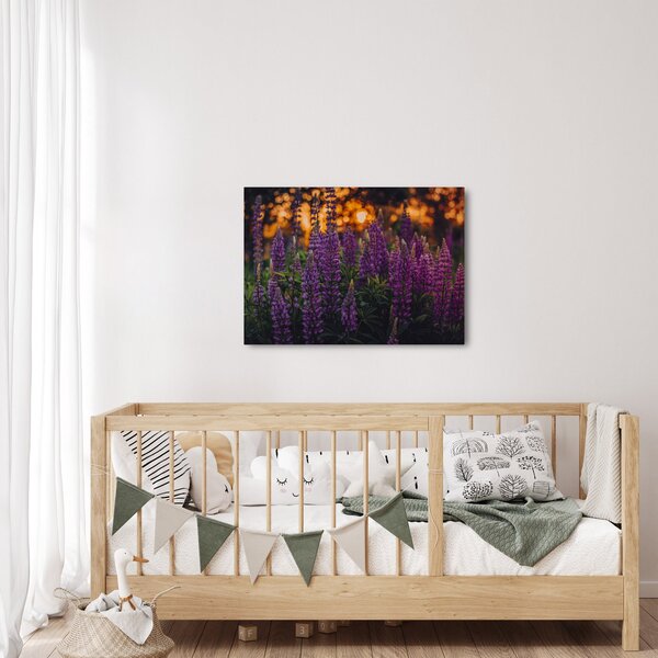 Slika cvjetova lupine (70x50 cm)