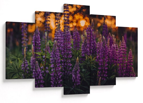 Slika cvjetova lupine (150x105 cm)