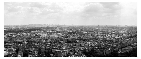 Slika - krovovi kuća u Parizu (120x50 cm)