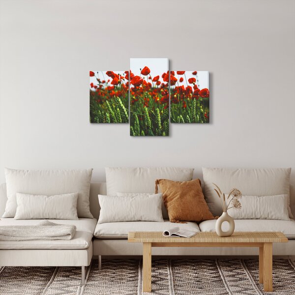 Slika maka na vjetru (90x60 cm)