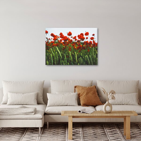 Slika maka na vjetru (70x50 cm)