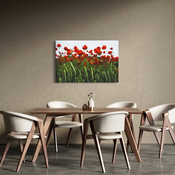 Slika maka na vjetru (90x60 cm)