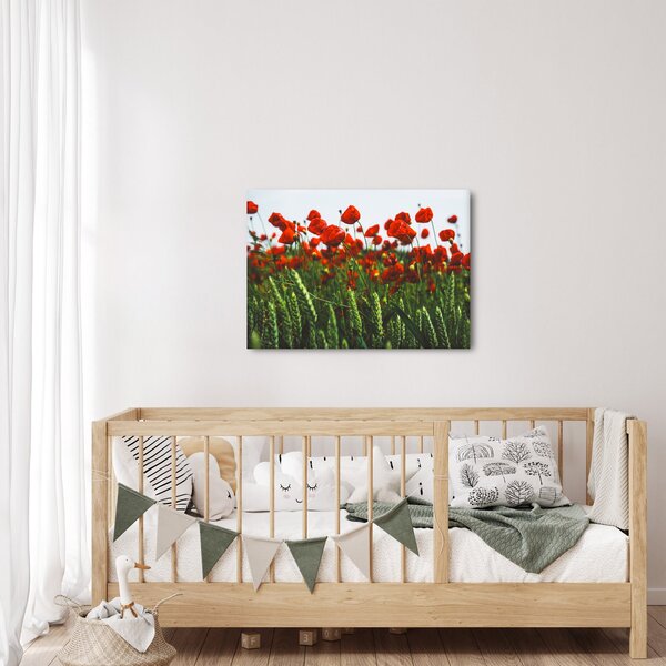Slika maka na vjetru (70x50 cm)