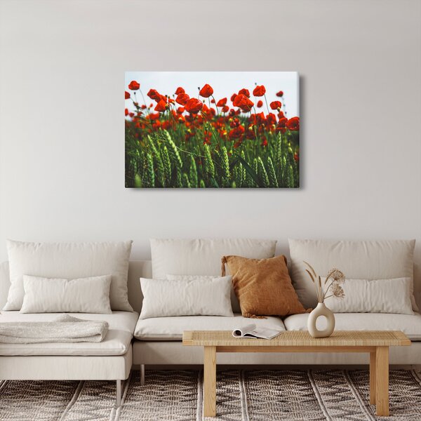 Slika maka na vjetru (90x60 cm)