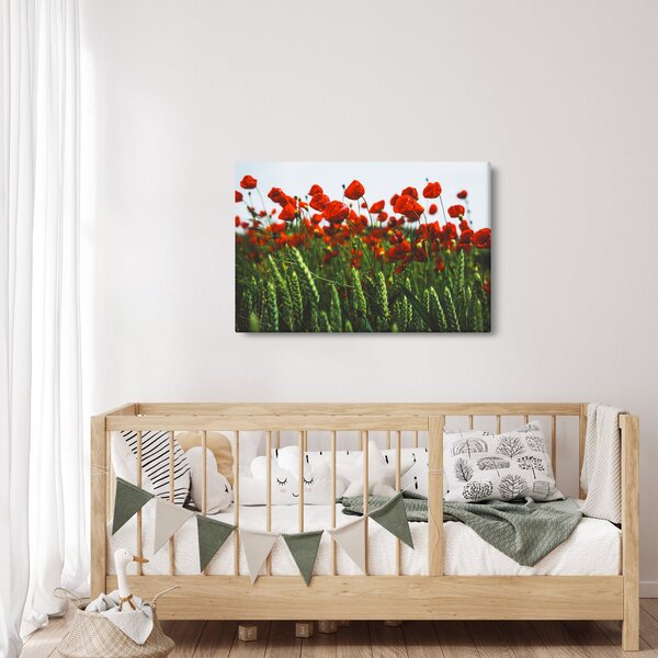 Slika maka na vjetru (90x60 cm)