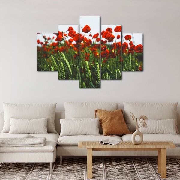 Slika maka na vjetru (150x105 cm)
