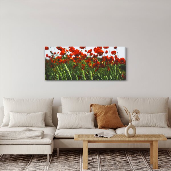 Slika maka na vjetru (120x50 cm)