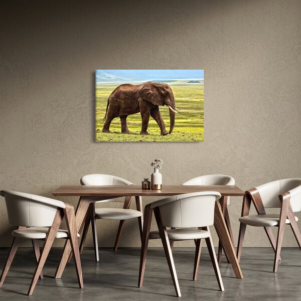 Slika slona (90x60 cm)