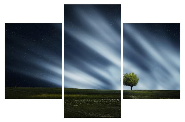 Slika polarne svijetlosti iznad polja vrijeska (90x60 cm)