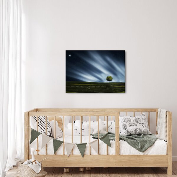 Slika polarne svijetlosti iznad polja vrijeska (70x50 cm)