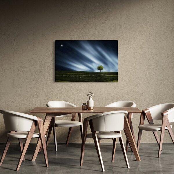 Slika polarne svijetlosti iznad polja vrijeska (90x60 cm)