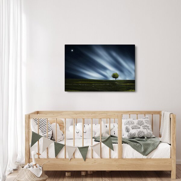 Slika polarne svijetlosti iznad polja vrijeska (90x60 cm)