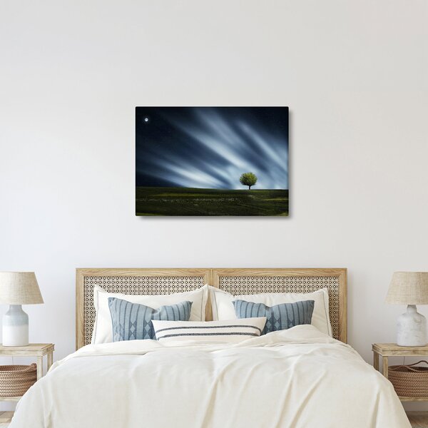Slika polarne svijetlosti iznad polja vrijeska (70x50 cm)