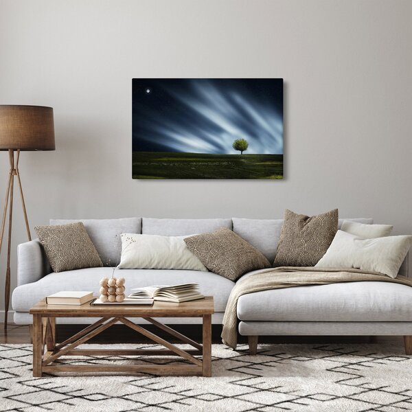 Slika polarne svijetlosti iznad polja vrijeska (90x60 cm)