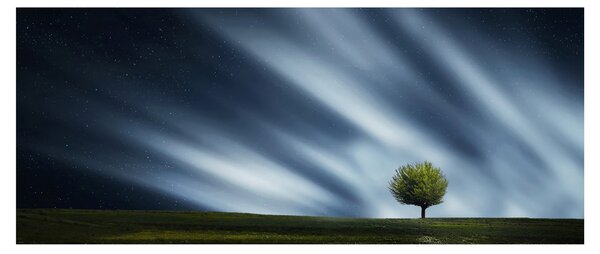 Slika polarne svijetlosti iznad polja vrijeska (120x50 cm)