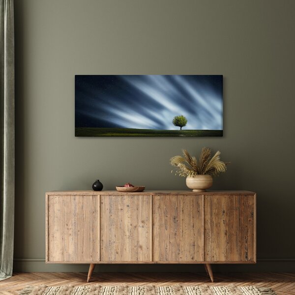 Slika polarne svijetlosti iznad polja vrijeska (120x50 cm)