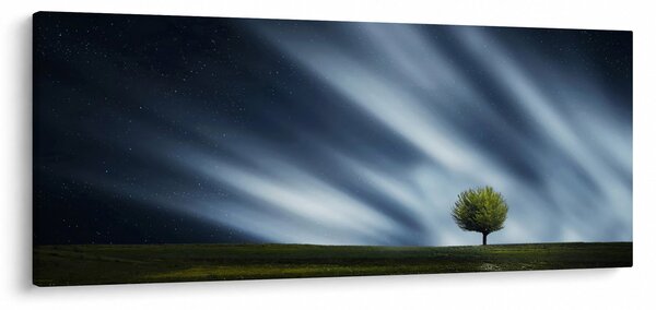 Slika polarne svijetlosti iznad polja vrijeska (120x50 cm)