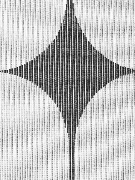 Crno-bijeli unutarnji i vanjski tepih 160x230 cm Duet Bowen – NORTHRUGS