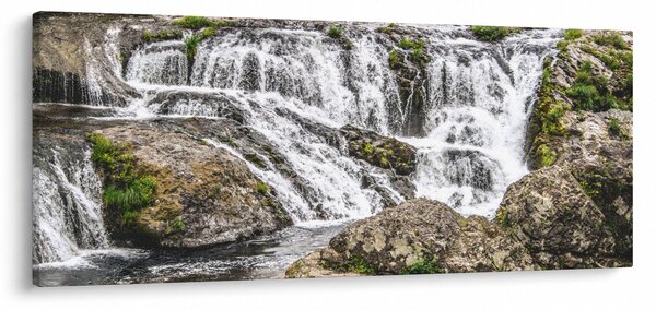 Slika - Brzaci na vodi (120x50 cm)