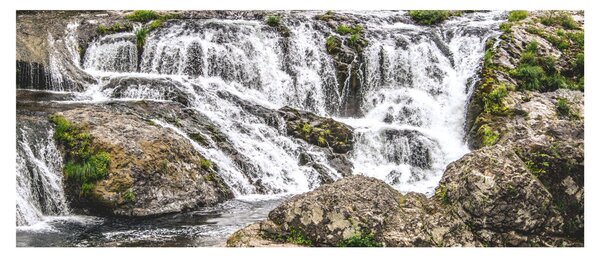 Slika - Brzaci na vodi (120x50 cm)