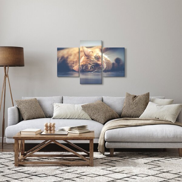 Slika mačke na podu (90x60 cm)