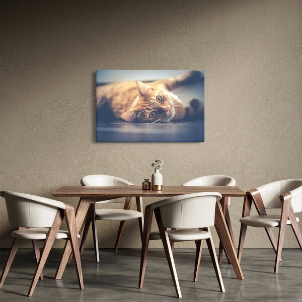 Slika mačke na podu (90x60 cm)