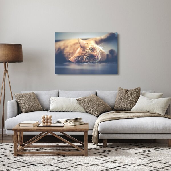 Slika mačke na podu (90x60 cm)