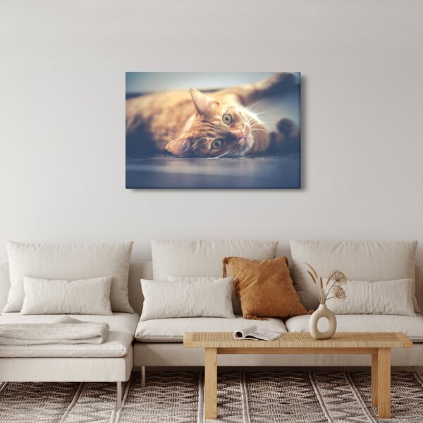 Slika mačke na podu (90x60 cm)