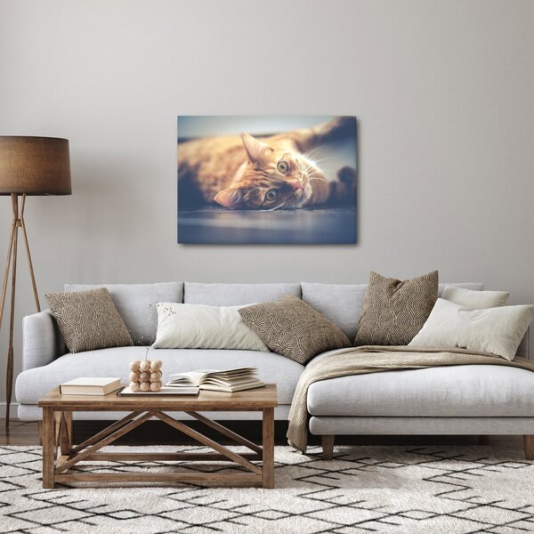 Slika mačke na podu (70x50 cm)