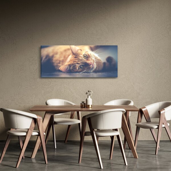 Slika mačke na podu (120x50 cm)