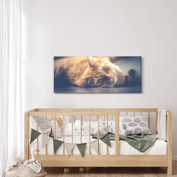Slika mačke na podu (120x50 cm)