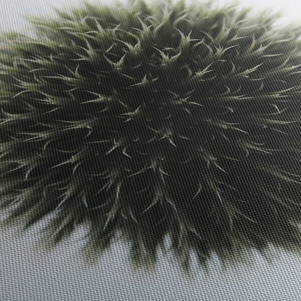 Slika cvjetne kugle (70x50 cm)
