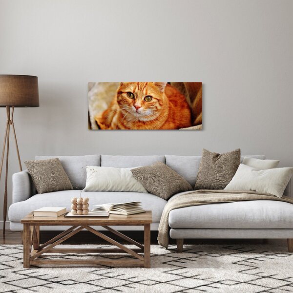 Slika mačke koja leži (120x50 cm)