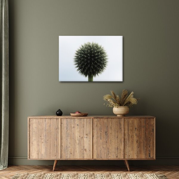 Slika cvjetne kugle (70x50 cm)