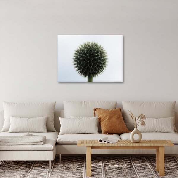Slika cvjetne kugle (70x50 cm)