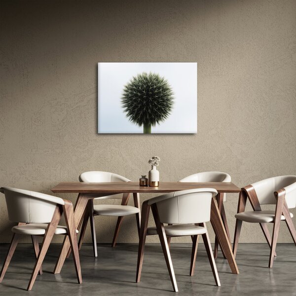 Slika cvjetne kugle (70x50 cm)