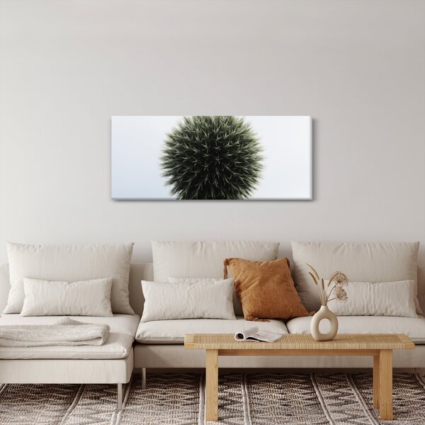 Slika cvjetne kugle (120x50 cm)