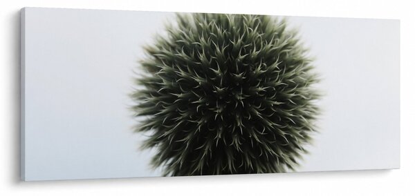 Slika cvjetne kugle (120x50 cm)