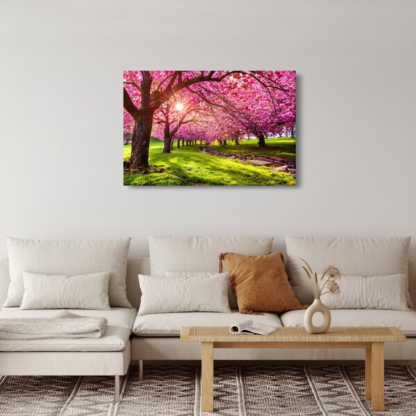 Slika procvjetalih trešanja, Hurd Park, Dover, New Jersey (90x60 cm)