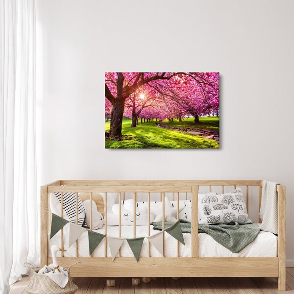 Slika procvjetalih trešanja, Hurd Park, Dover, New Jersey (90x60 cm)