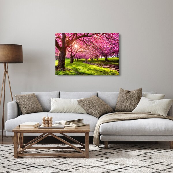 Slika procvjetalih trešanja, Hurd Park, Dover, New Jersey (90x60 cm)