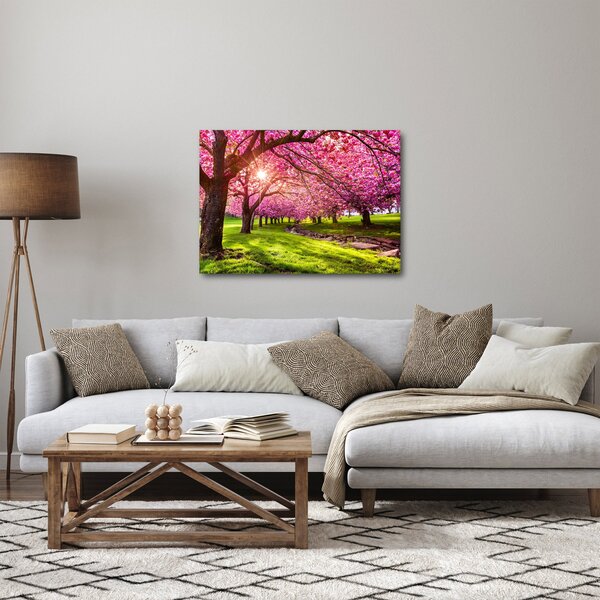 Slika procvjetalih trešanja, Hurd Park, Dover, New Jersey (70x50 cm)