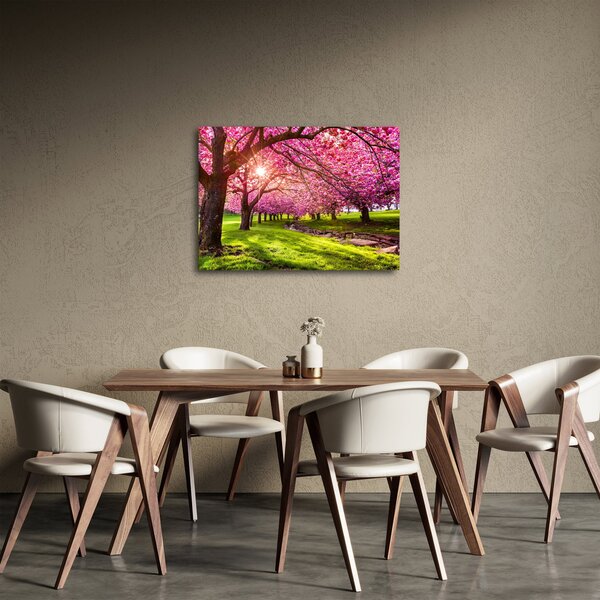 Slika procvjetalih trešanja, Hurd Park, Dover, New Jersey (70x50 cm)