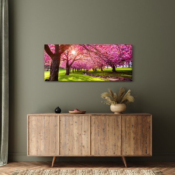 Slika procvjetalih trešanja, Hurd Park, Dover, New Jersey (120x50 cm)